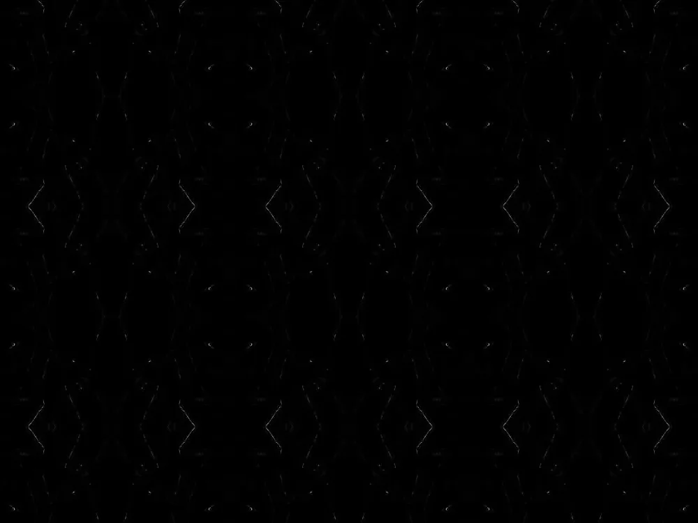 Absolute Black Granite — black granite at Jaipur Tiles & Granites