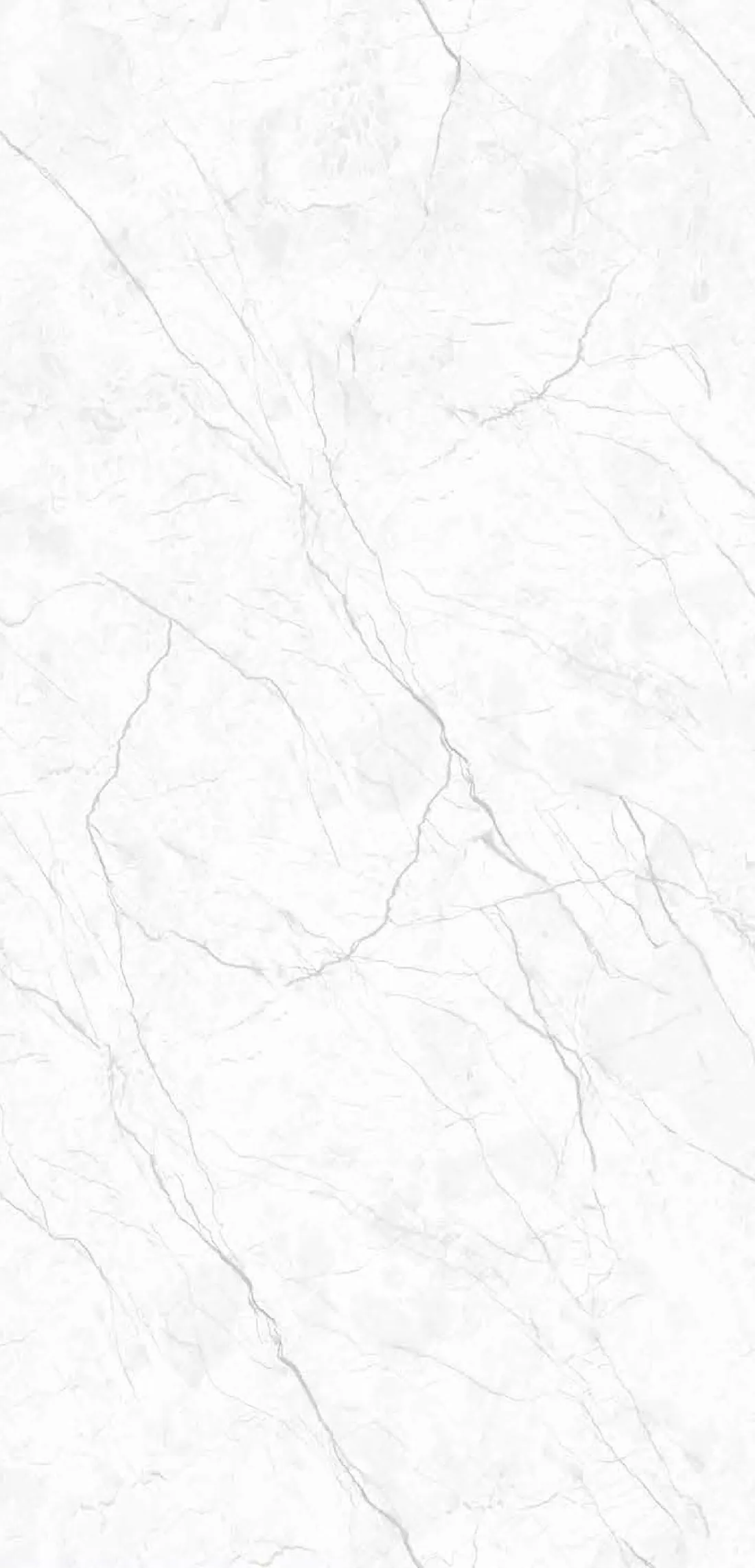 Alpino Grigio — white 600x1200 mm glossy vitrified tile