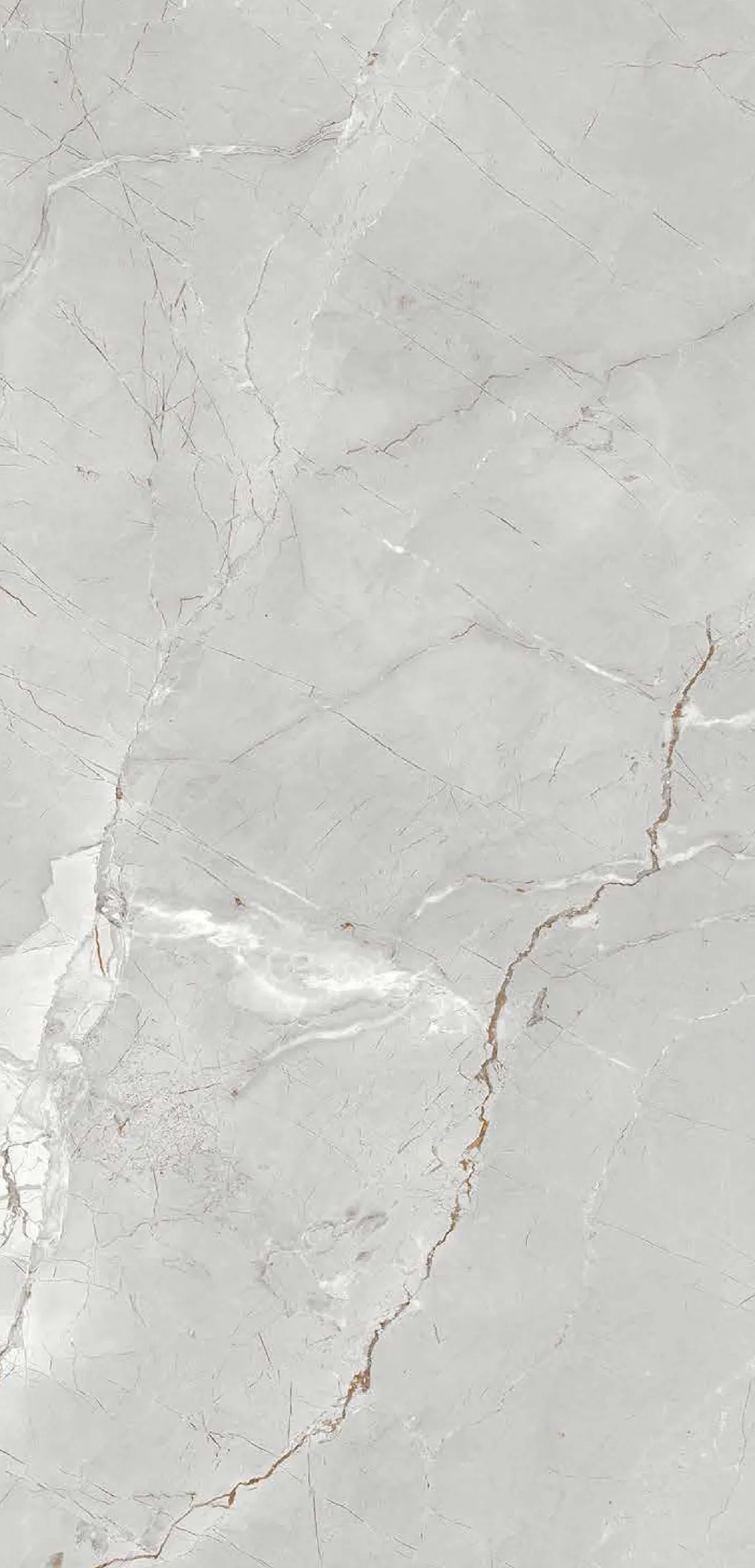 Amarillo Gris — light grey 600x1200 mm glossy vitrified tile