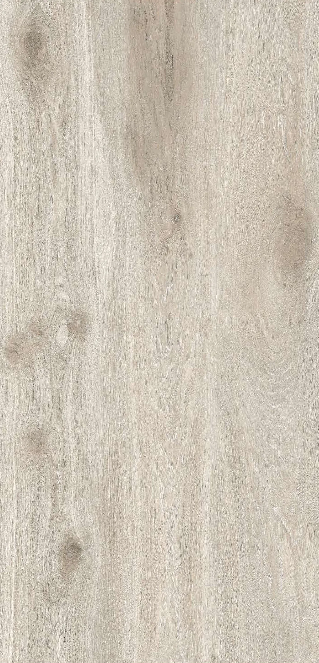 Amazon Wood — beige 600x1200 mm matt vitrified tile