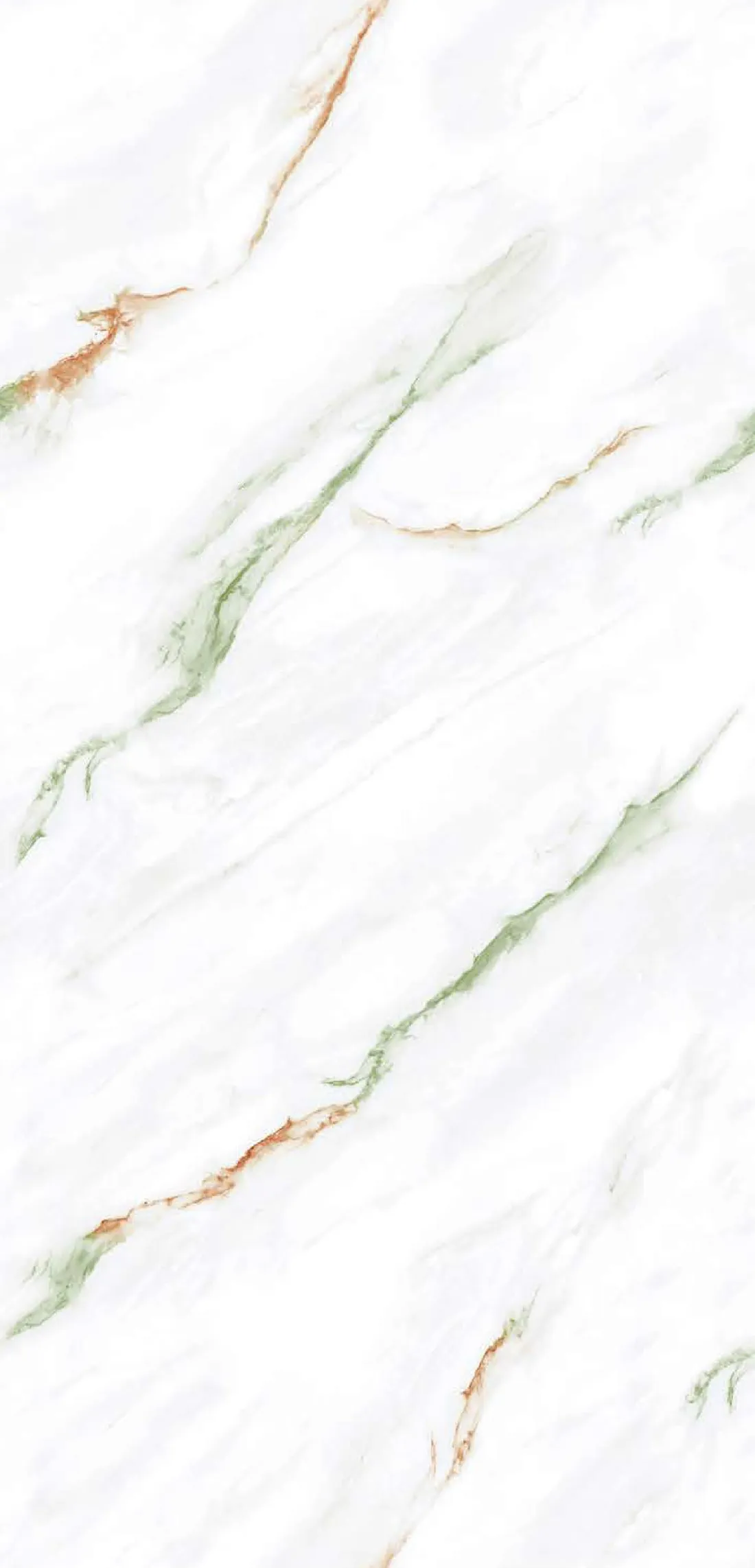 Angel Multi — white 600x1200 mm glossy vitrified tile