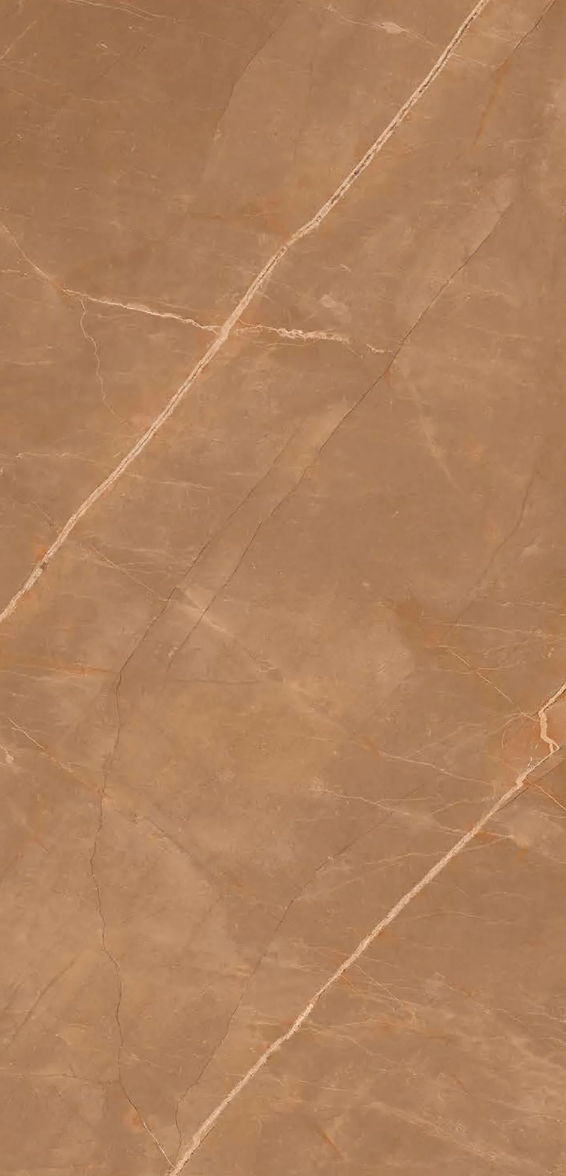 Bosco Brown — terracotta 600x1200 mm glossy vitrified tile