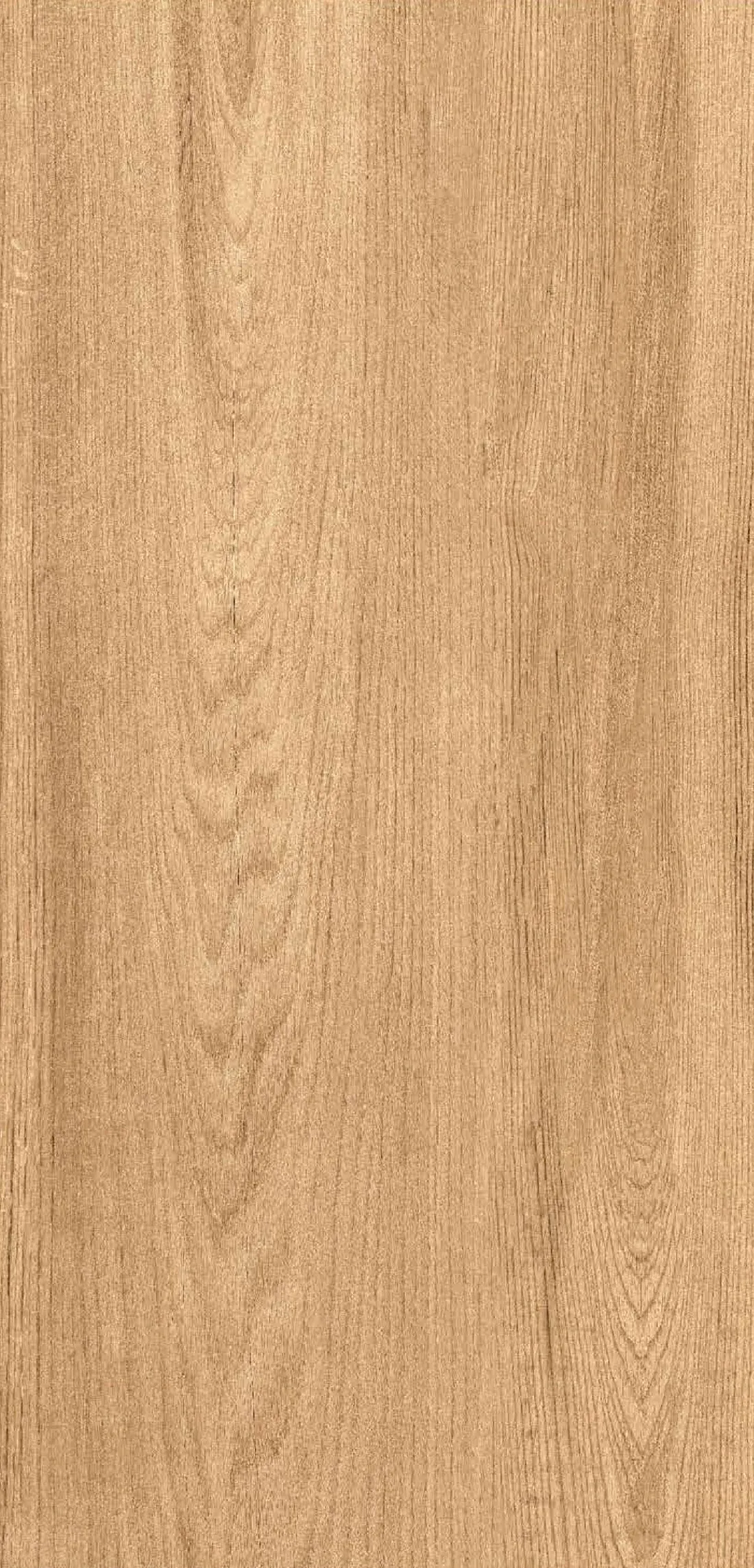 Clara Wood Brown — terracotta 600x1200 mm matt vitrified tile