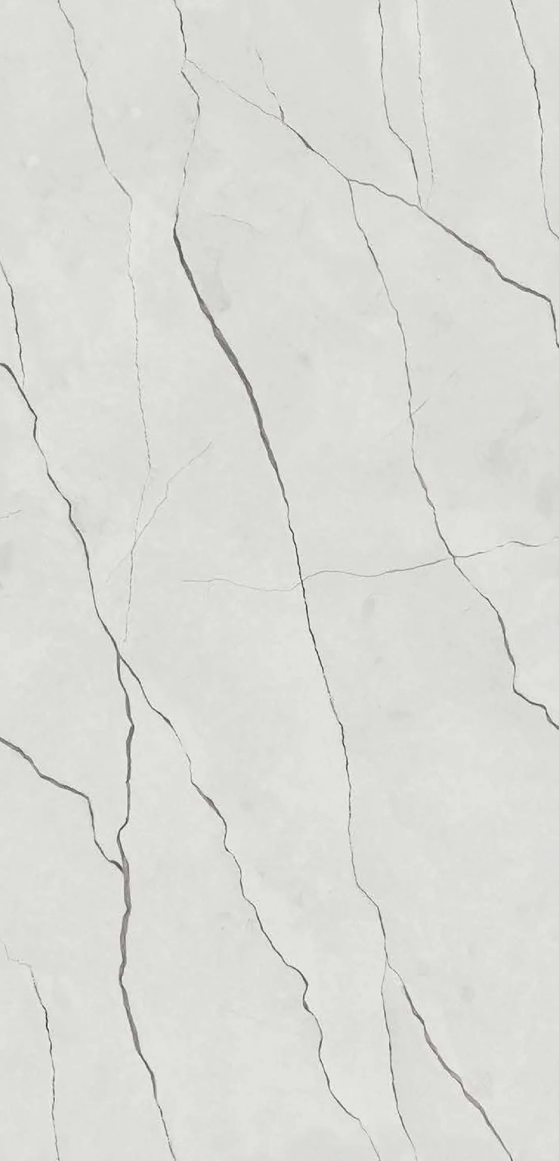 Delice Grey — white 600x1200 mm carving vitrified tile