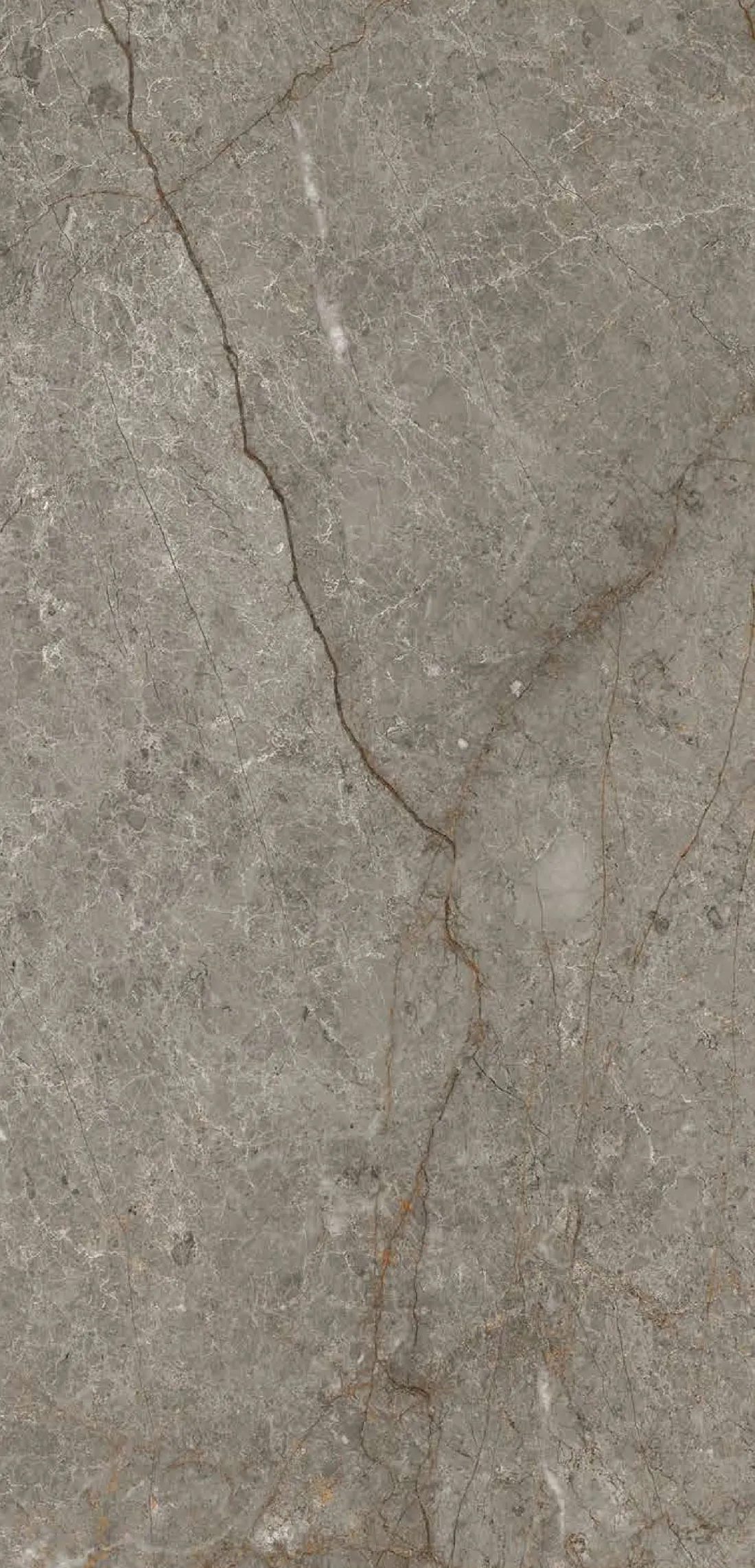 Eagle Grey — pale terracotta 600x1200 mm carving vitrified tile