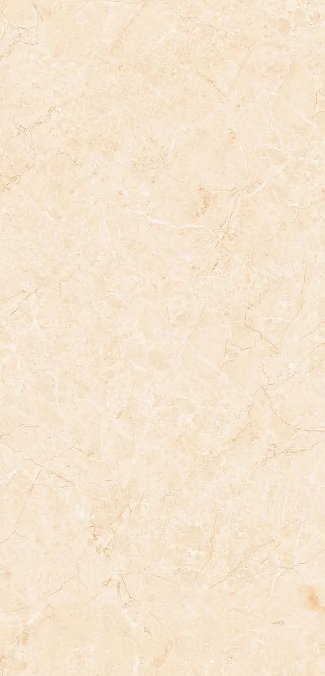 Glister Beige — beige 600x1200 mm glossy vitrified tile
