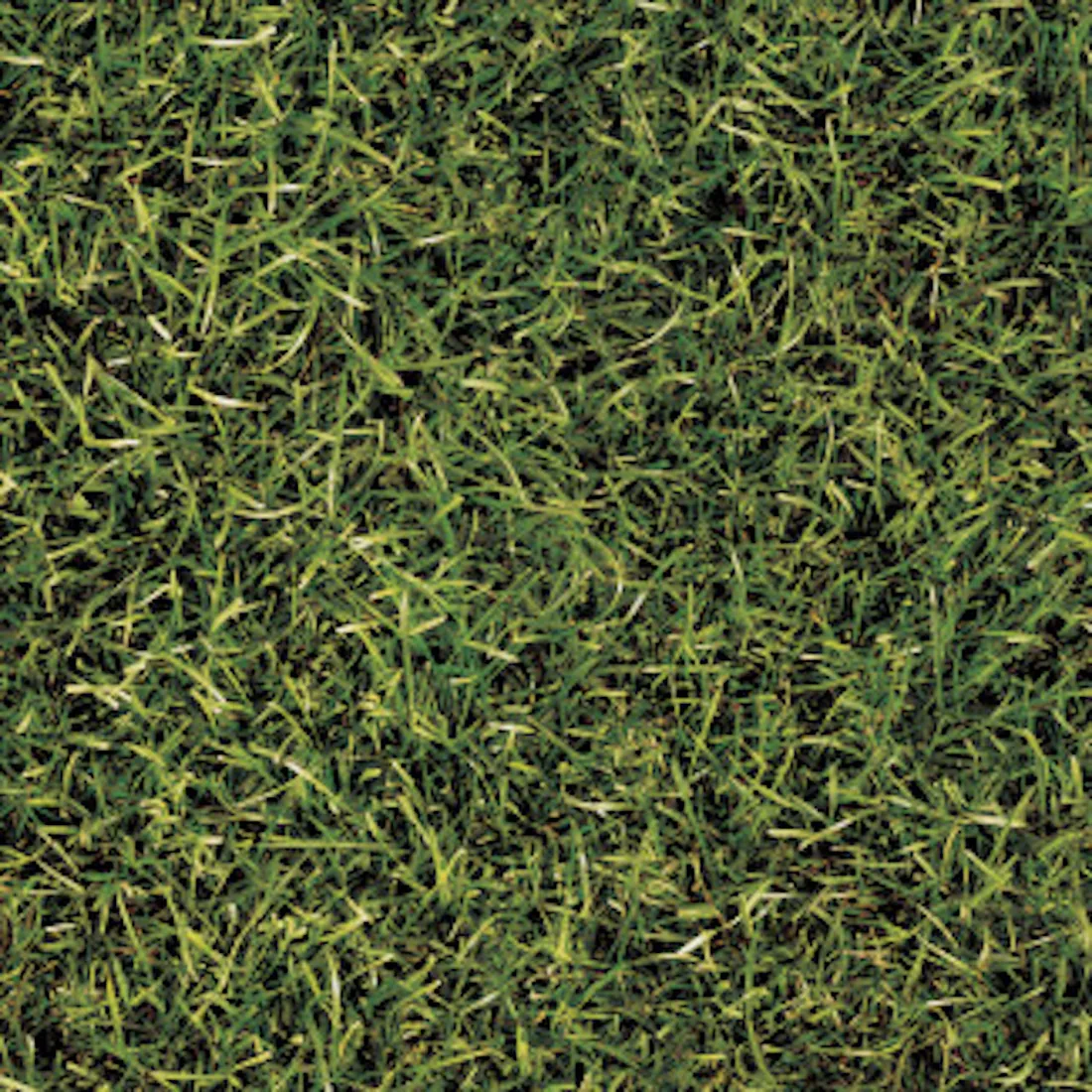 Grass Look Tile — olive tile at Jaipur Tiles & Granites