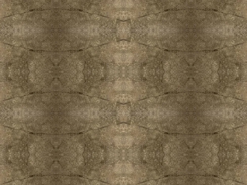 Grey William Italian Marble — terracotta marble at Jaipur Tiles & Granites