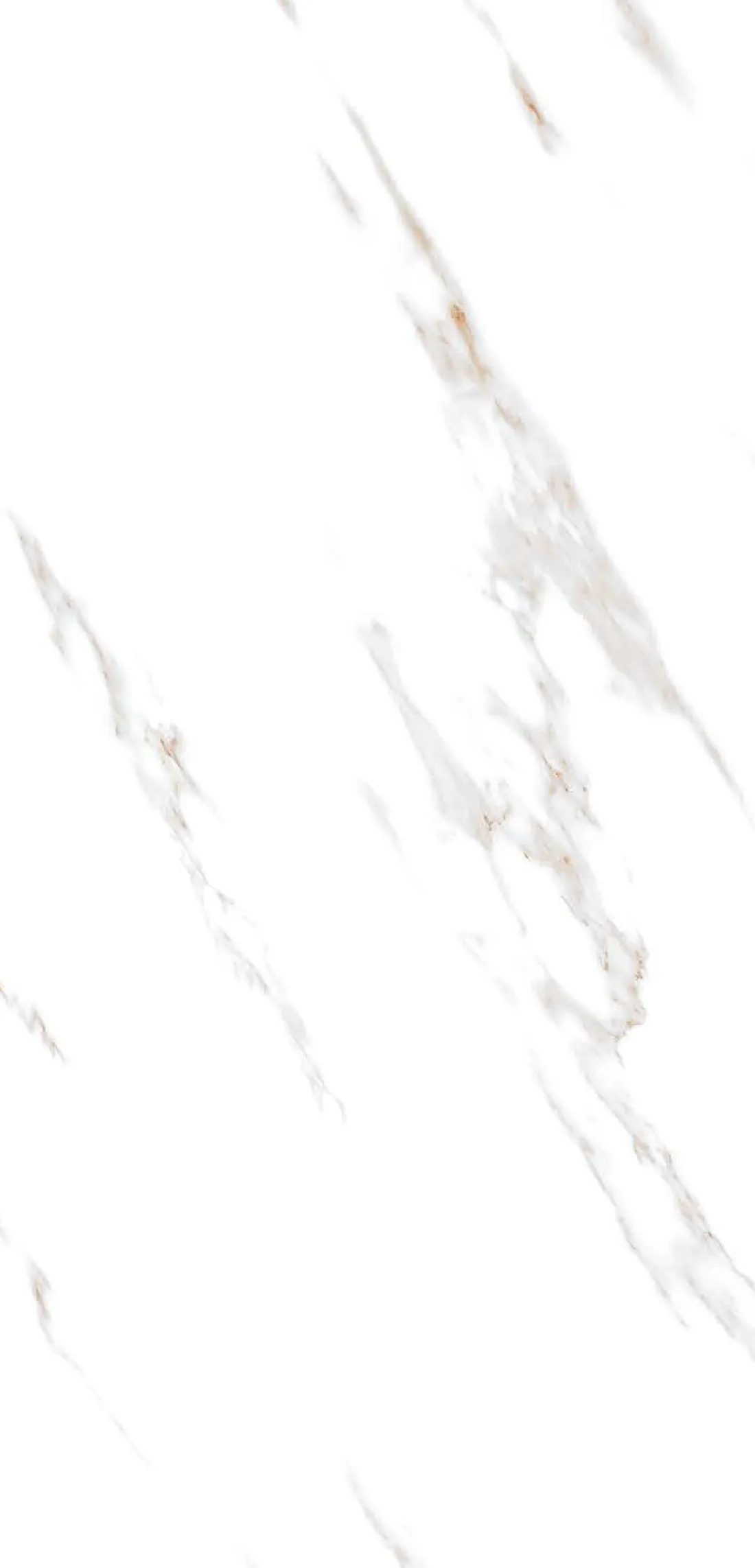 Lance White — white 600x1200 mm glossy vitrified tile