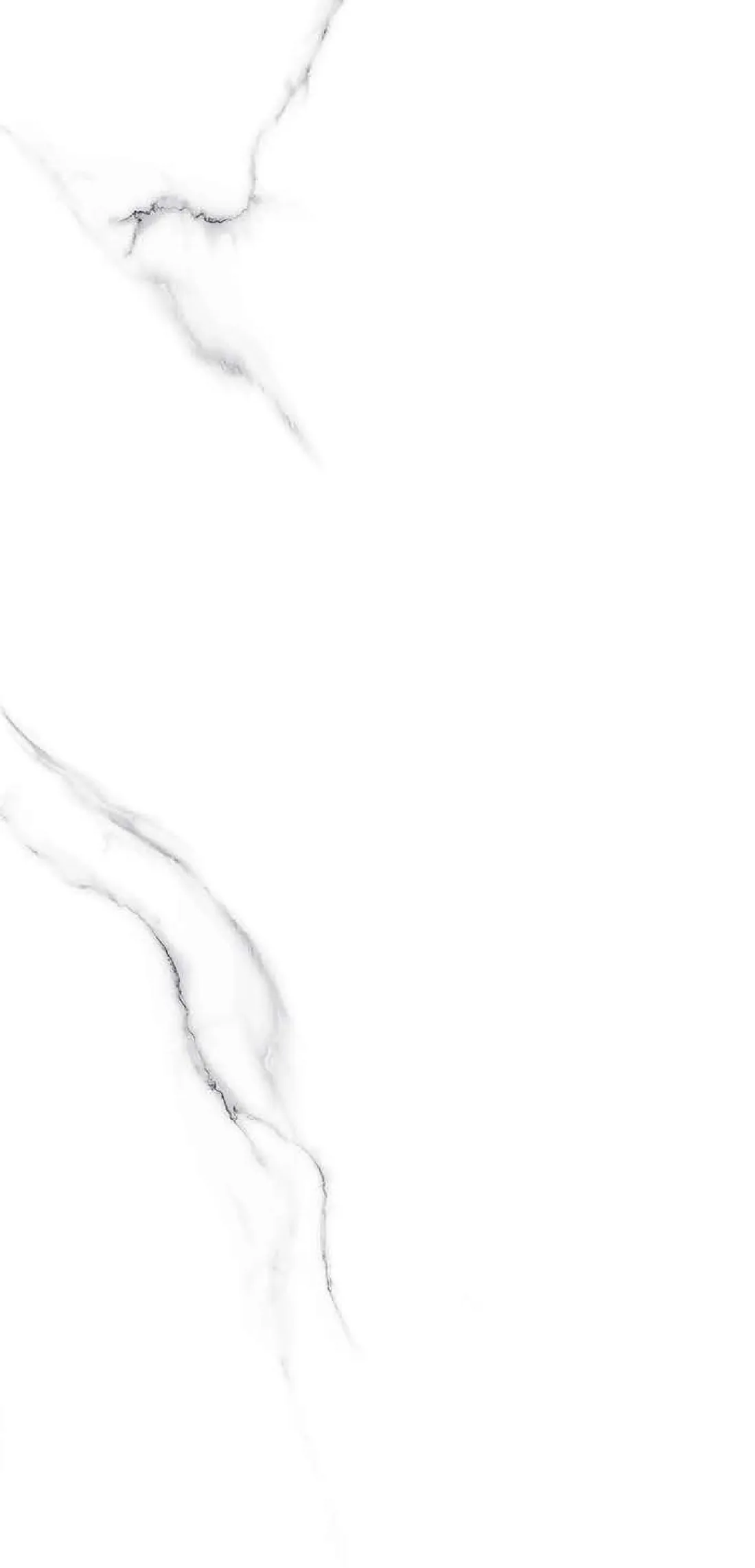 Liza Staturio — white 600x1200 mm glossy vitrified tile