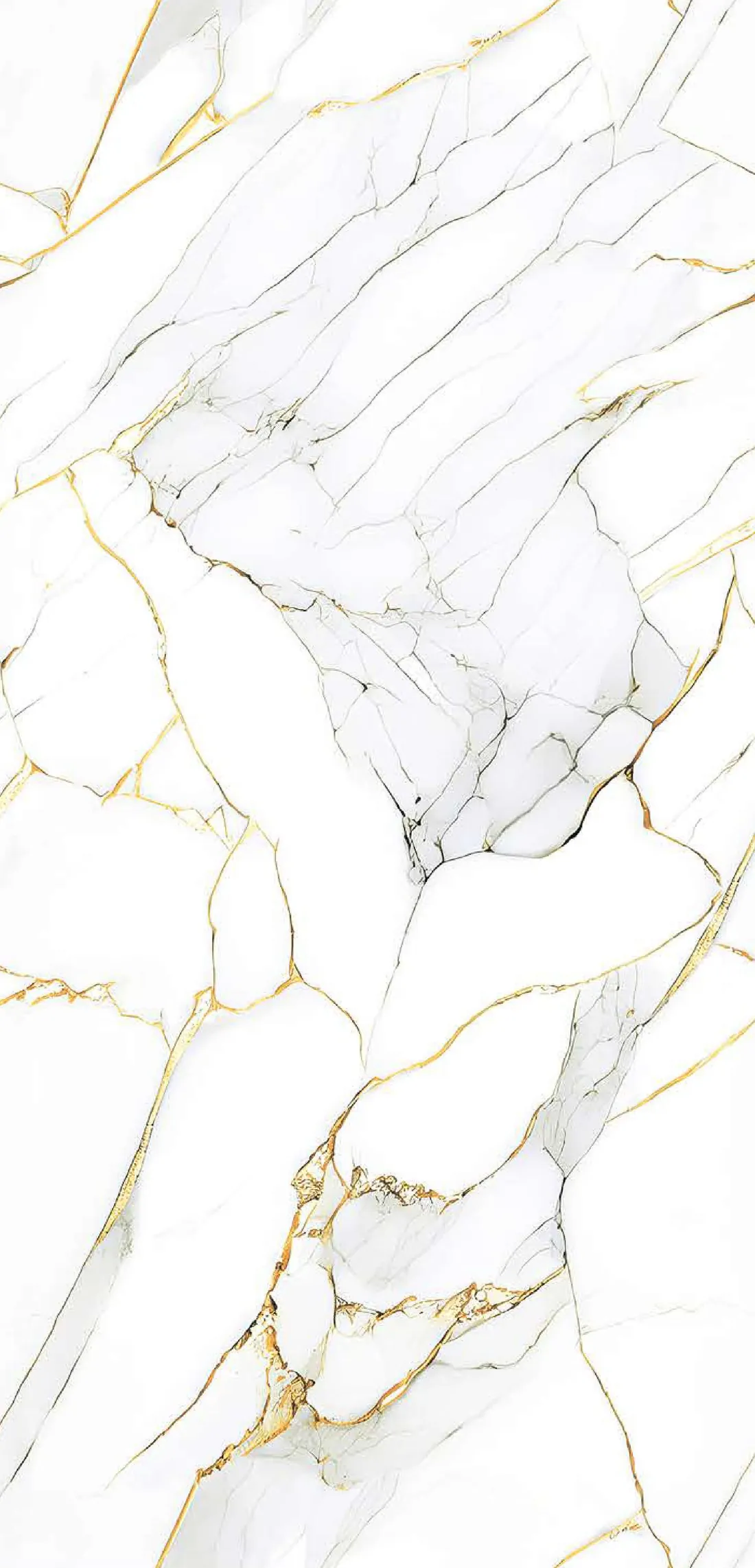 Pecan Gold — white 600x1200 mm glossy vitrified tile