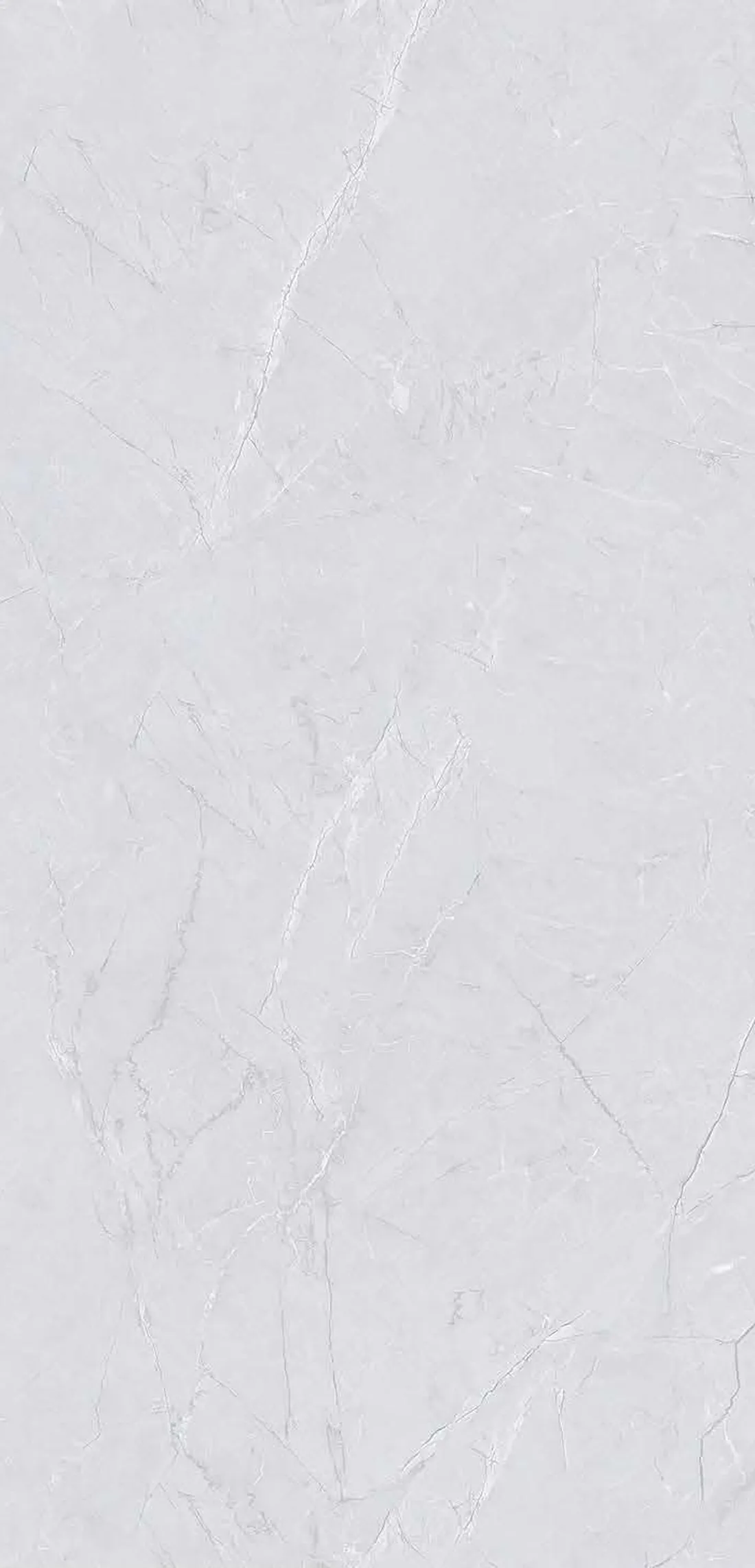 Titanium Light — white 600x1200 mm glossy vitrified tile